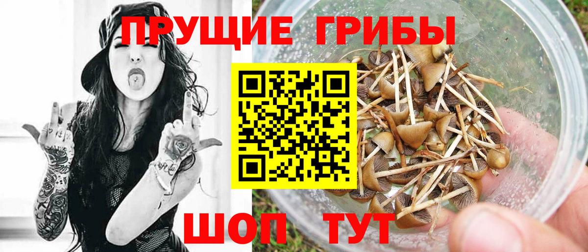 Галлюциногенные грибы мицелий  Псилоцибиновые грибы Magic Shrooms  Вход с VPN  Петропавловск-Камчатский 