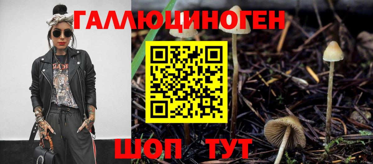 Галлюциногенные грибы GOLDEN TEACHER Петропавловск-Камчатский